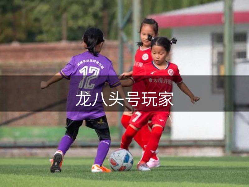 关于本站
